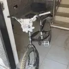سيكل كوبرا للبيع