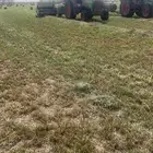 بلوبنك