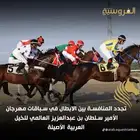 إيواء و تدريب خيل السرعه ( مدرب لخيول السباقات)