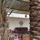 خيزران مظلات سواتر