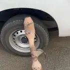 شخال هايلكس والبيع سمح التواصل واتس