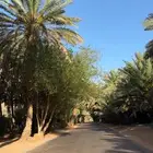 بالعلا حي العزيزيه