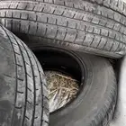 كفرات تاهو