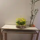 مدخل حديد حبتين