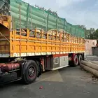 تريله لنقل الحلال والبظايع جوانب 12 ونص