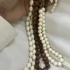مسباحين عضم ومسباح كوك