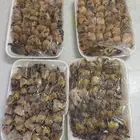 طيور دخل