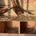 حمام شامي