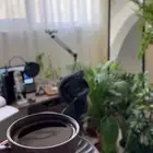تعليق صوتي