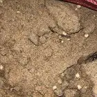 سماد دجاج بلدي مخلوط مع رملة لياسه لزراعه