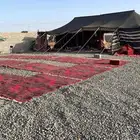 بيت شعر 13متر في 6 متر البيت للبيع