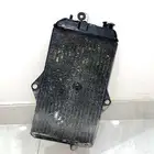 رديتر بانشي اصلي وكاله