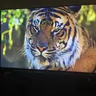 شاشة سوني 65 4k HDR موديل Sony KD-65X9000F