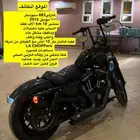دباب هارلي