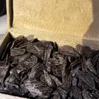 عود ازرق كلمنتان سوبر