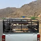 توصيل جميع المناطق