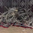 بيت شعر للبيع غضاء 7 في 7