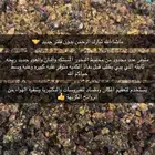 بخور