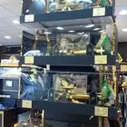 هدايا تخرج ضباط سيوف ضباط دروع ضباط هدايا تخرج