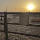 حوش ابل للإيجار او للبيع