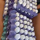 بيض