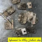 جلد شكمان الحبه 100 ريال