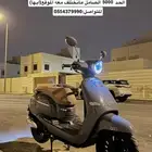 دباب مهدي 2025