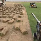 ثيل سي 2000 الخرج