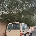 ربع بيج