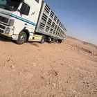 تريلا الغنامية مع مراي طول 17 متر اليدر نقل