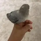 روز دكر اليف العمر 5 شهور تو بدا يطير تو خلص فطم هدد داخلي