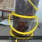 تمور فاخرة للبيع