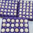 بيض بلدي طبيعي 100 الطبق ب 20 ريال