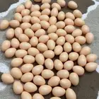 بيض بلاستيك دجاج صناعي