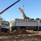 لتحميل وتوصيل