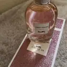 عطر كوتش دريمز