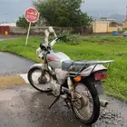 دباب وارد بن ثابت