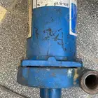 دينمو سمنان أصلي