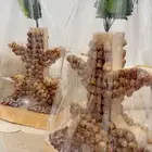 نخلة التمر للضيافة