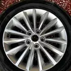 جنوط كدينزا