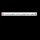 مطلوب الشقه الايجار شهري