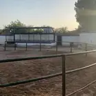 إيواء  تدريب ركوب الخيل