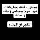 مطلوب شقه اجار