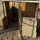 شبك دجاج لبيع سوم من300