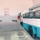 ديزل سطحه دينات هايلكس
