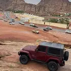 جيب رانجلر