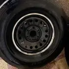 جنوط شنبر