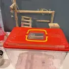 العاب ومستلزمات طيور كوكتيل