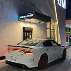 دوج تشاجر لبيع