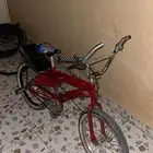 سيكل رامبو اندنوسي مقاس 20